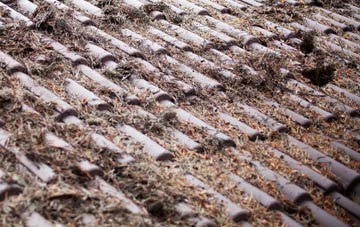 Inverinate roof cleaning companies